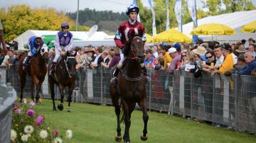 The Armidale Cup will is expected to attract a decent crowd on December 3. 