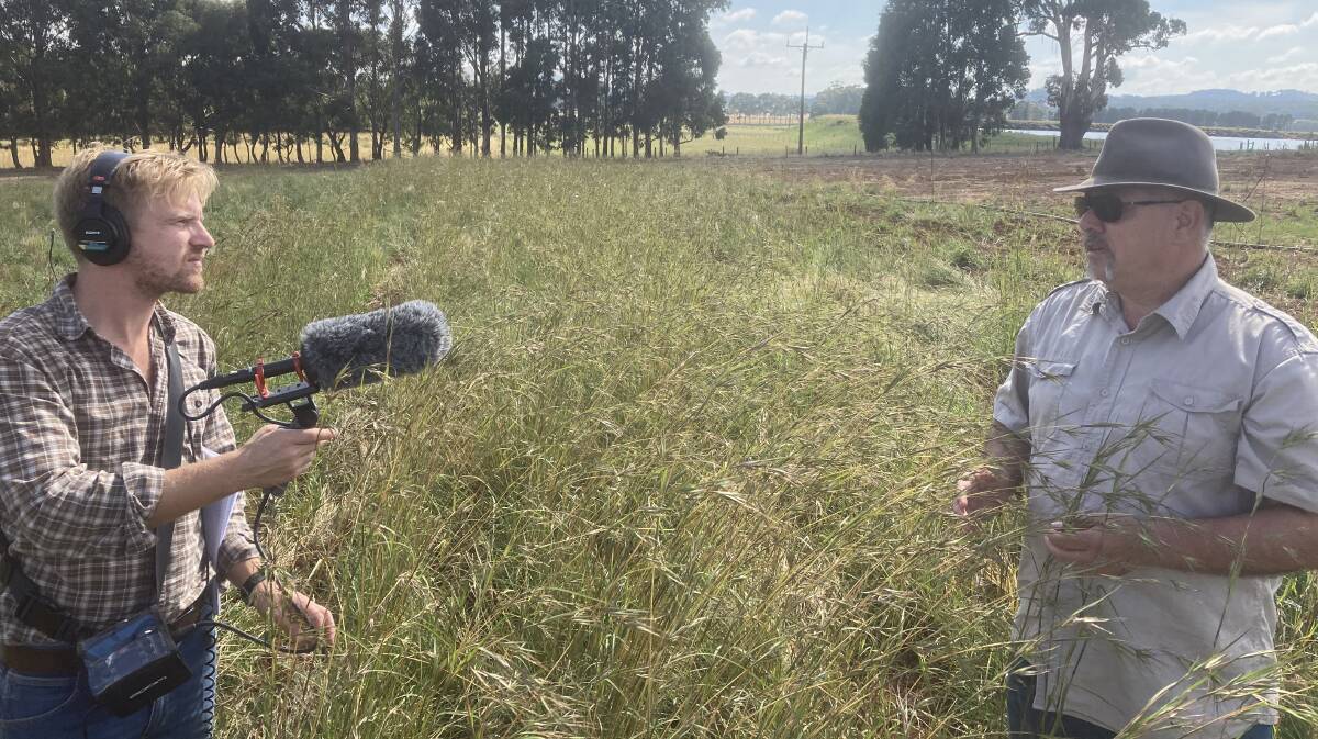 Tom Melville with Dja Dja Warrung Clans Aboriginal Corporation CEO Rodney Carter at the corporation's kangaroo grass research project near Bendigo. Picture: Supplied