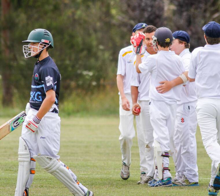 Armidale celebrate after take their first wicket against Manly Warringah during the Walter Taylor Shield.