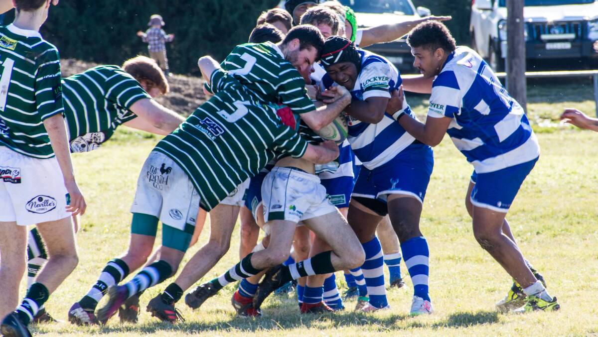 OFF THE MARK: The Glen Innes Elks second grade side scored a win over Robb College on Saturday. Photo: Brenton Hodge. 