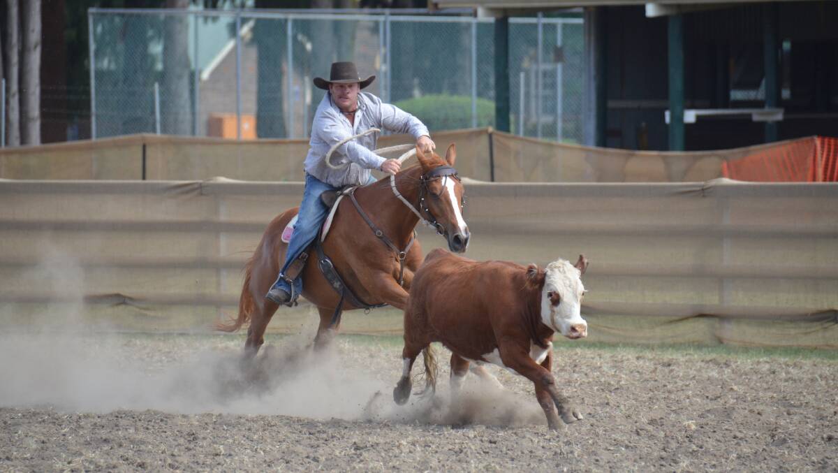 KICKING THE DUST UP: Taylor Christiansen competing at last year's Armidale Campdraft. 