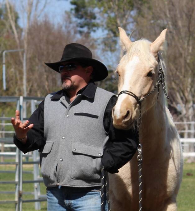 Hall conducts clinics to help horse owners get the best out of their animals. 