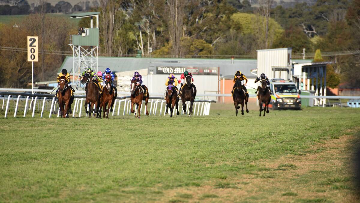 BACK ON TRACK: Punters will be permitted trackside at Saturday's TAB2 meet. 