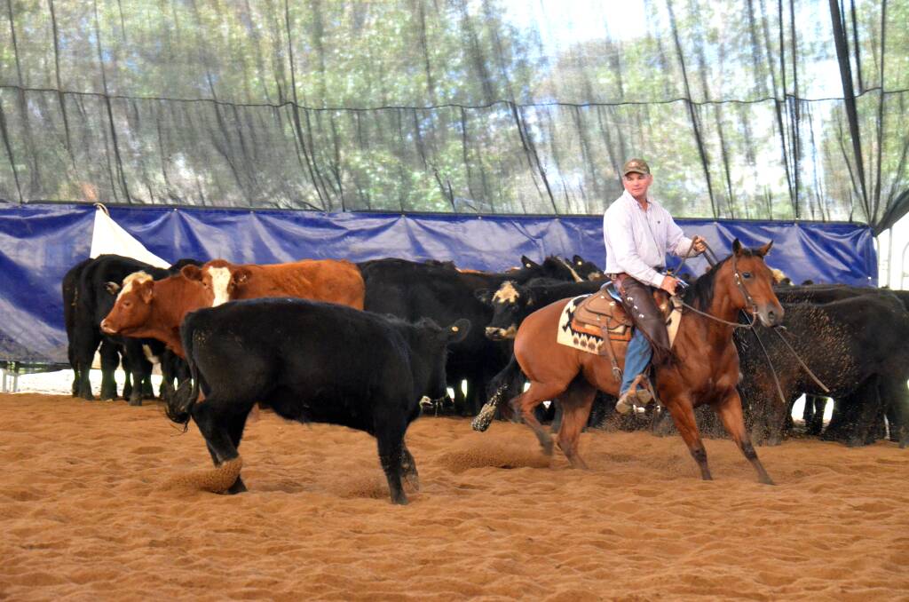 MAKE THE CUT: Grant Quigley, pictured in the Futurity horse event, won the Open Derby final on Friday night. 