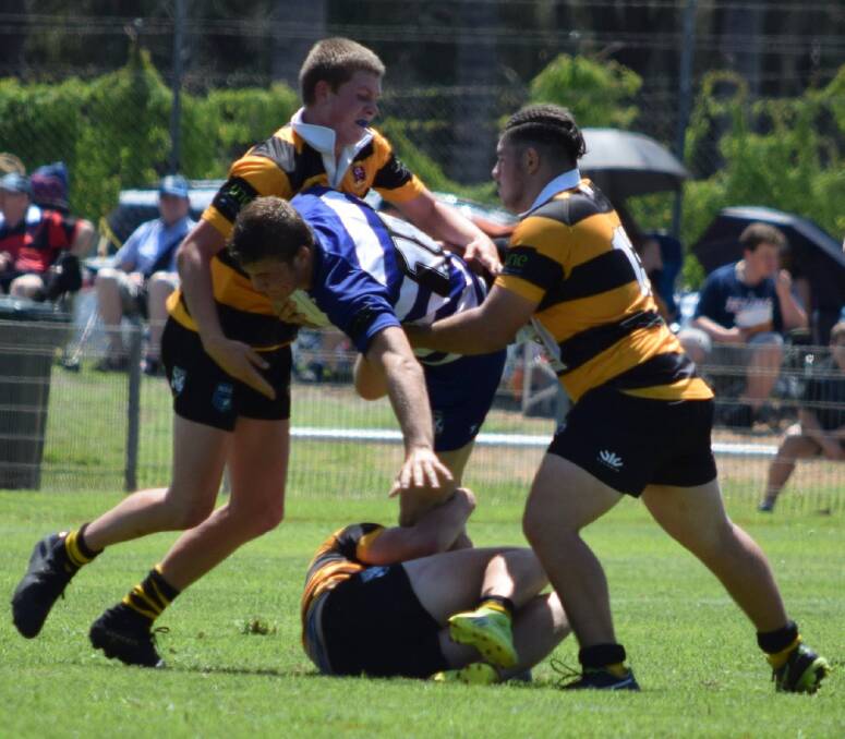EFFORT: Billy Youman, left, and Malakai Griffiths have retained their starting spots for the Greater Northern Tigers under-16 side. They head to Aberdeen on Saturday to face the Eels. Photo: Deena Hanlon. 