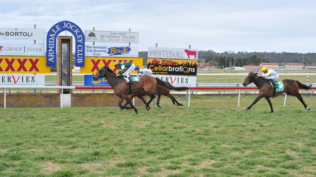 Beat That finishes first in Armidale on Thursday. Photo: Bradley Photographers