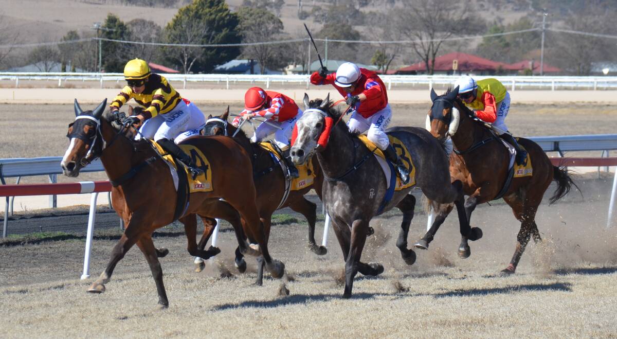 BLITZ THE FIELD: Blinkin Fantastic races home for the win in Saturday's St Albert's Cup race day. 
