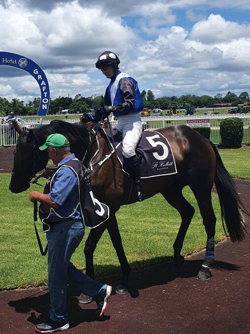 Rexx in the mounting yard prior to his win at Grafton on Sunday.
