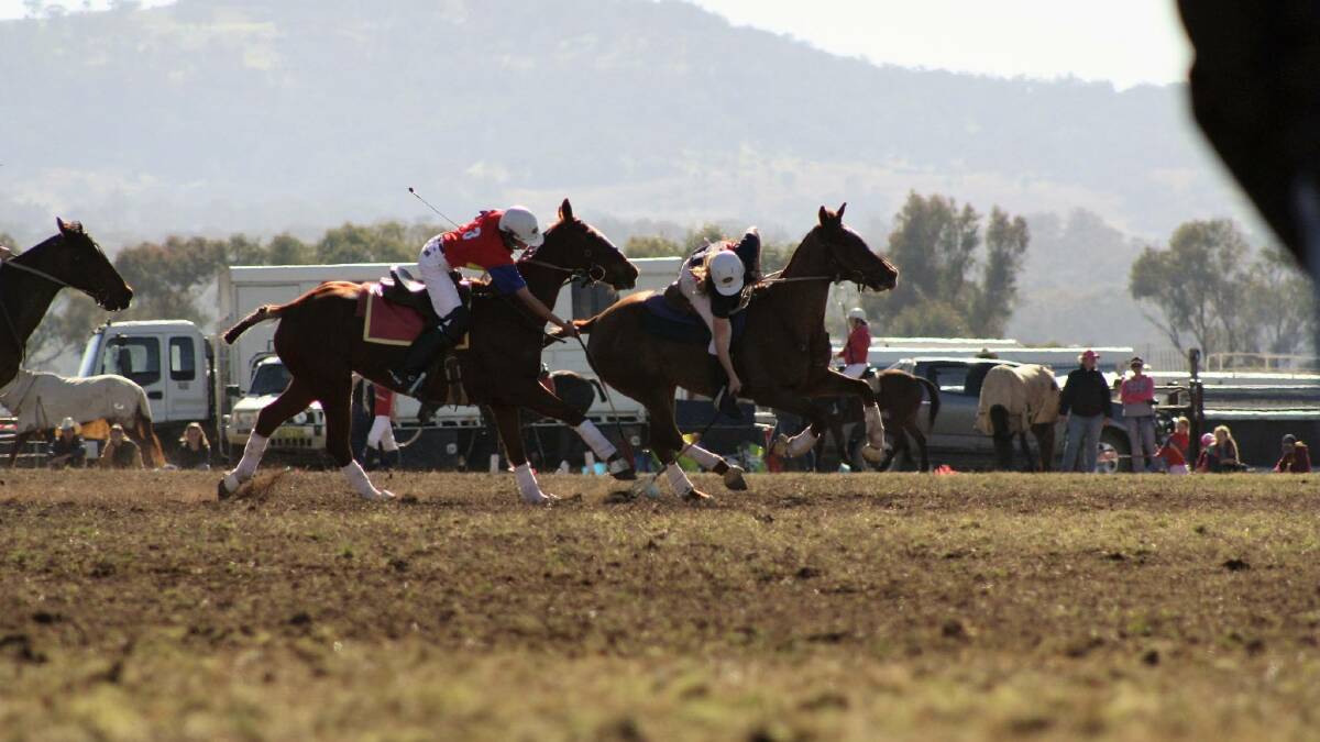 Polocrosse carnival cancelled but club still saddling up