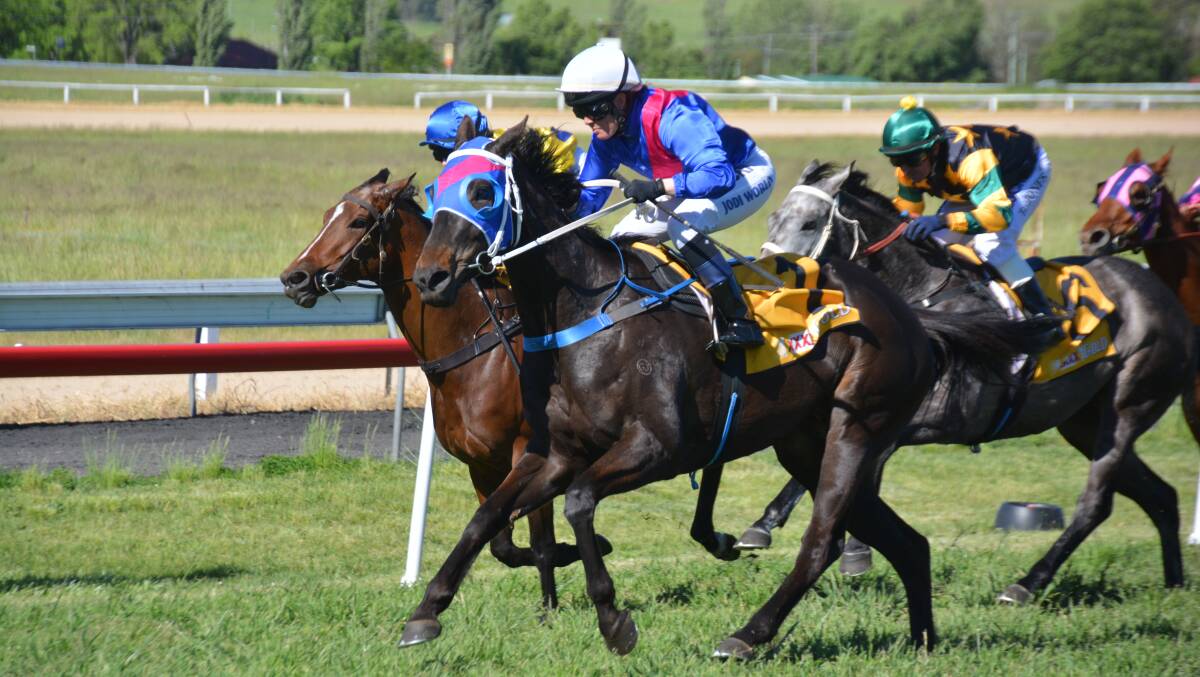 BACK ON TRACK: Locally owned and trained horse Melted Moments is back from a spell and racing at the Armidale Cup Day event on Sunday. 