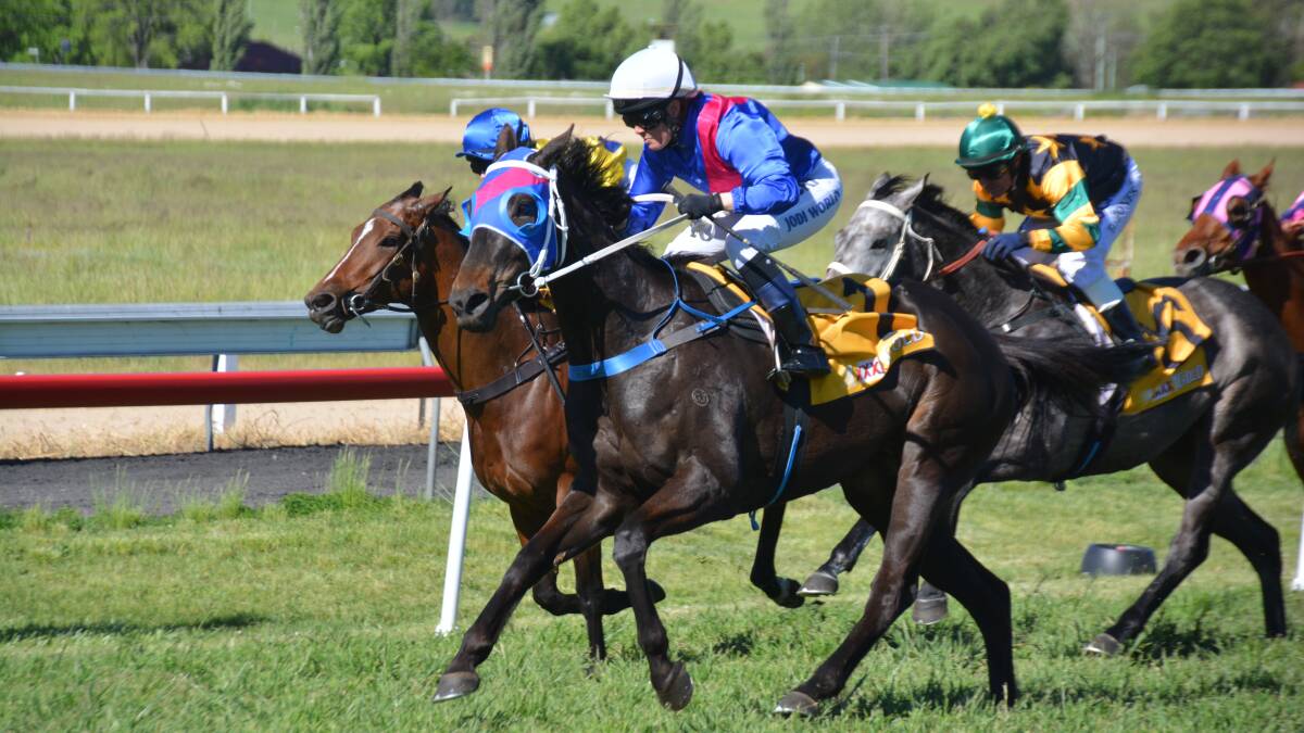 'He's a marvel': Melted Moments wins at Murwillumbah