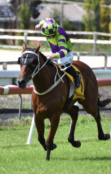 Point Counterpoint, pictured winning in Armidale earlier this year, hit the Highway to win at Kembla Grange on Saturday. 