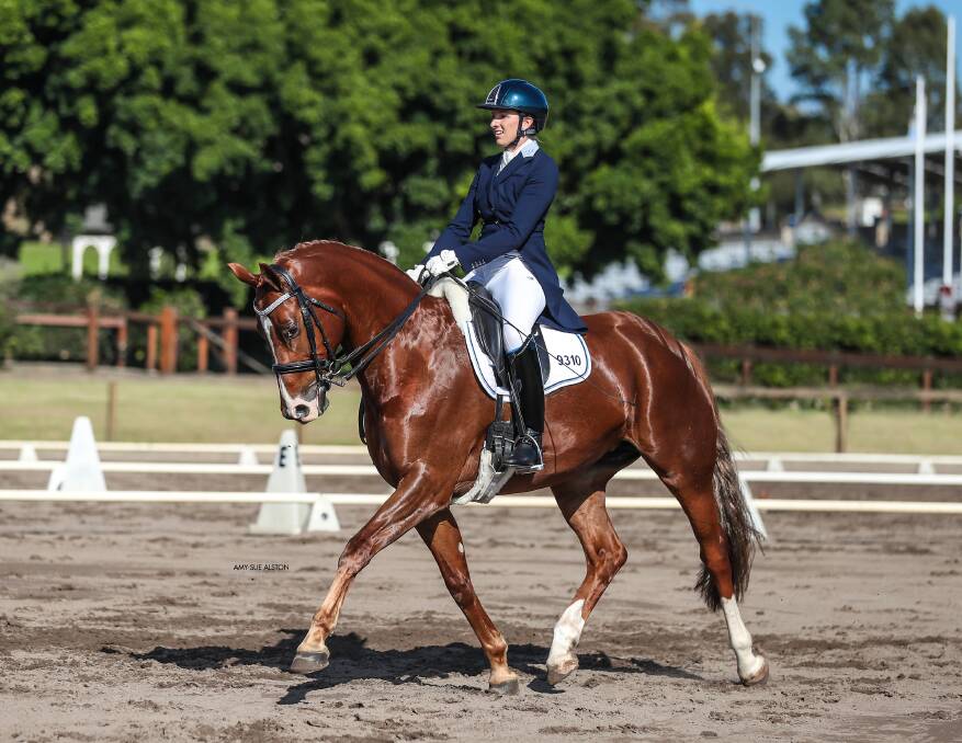 CONSISTENCY: Holly Clift's (formerly Sozou) Revelwood Rhapsodie has been named Dressage NSW's AOR horse of the year. Photo: Amy-Sue Alston.