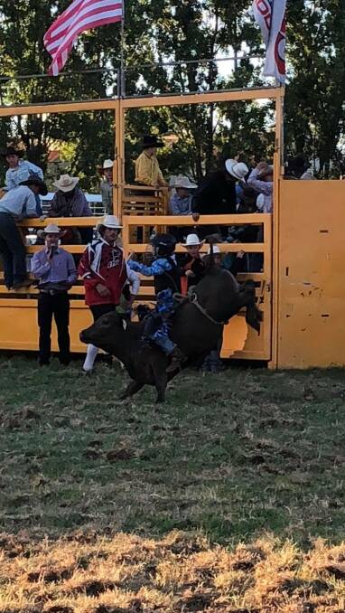 Brodie bucking into rodeo arena