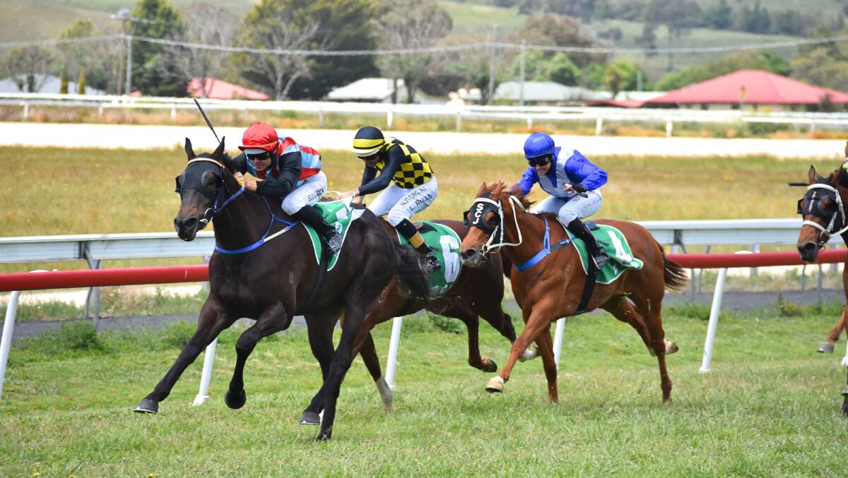 FOUR ON-THE-TROT: Aaron Bullock on Justin Bowen's Intercept races to the front of the 1400m Maiden Handicap in Armidale on Sunday. It was Bullock's first of four wins on the day. 