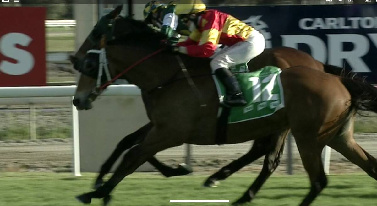 Rendelsham 'lunges' at the line. Photo: Sky Racing