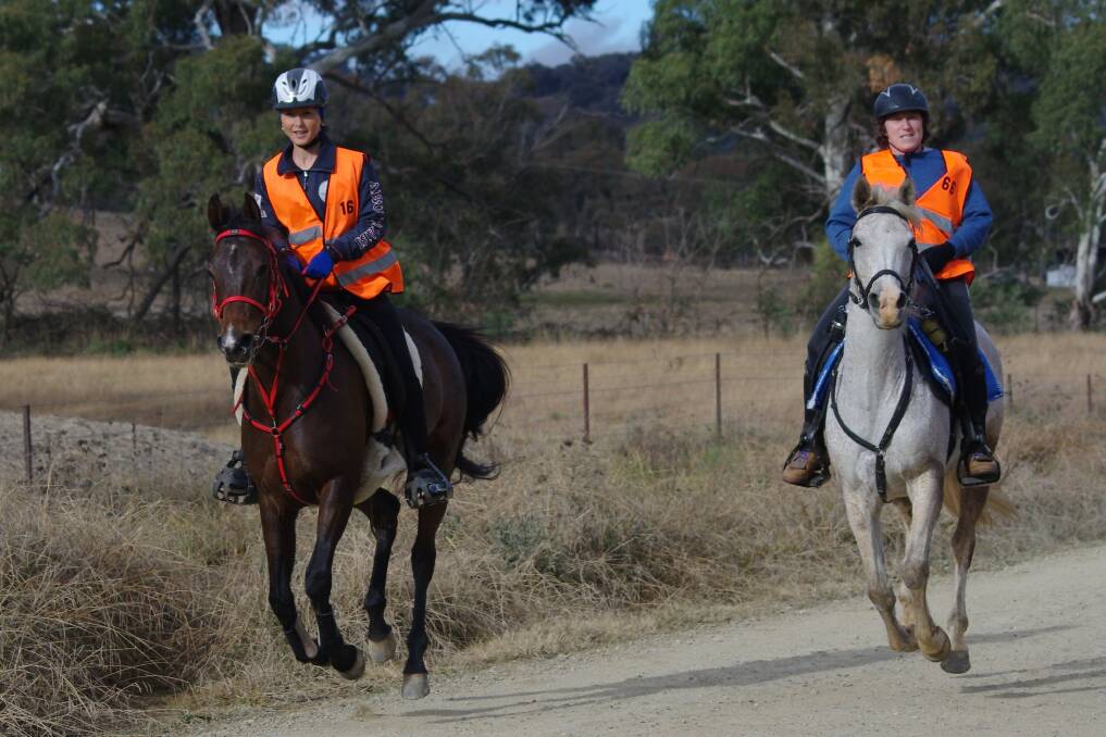 Windeyer's Allix Jones riding Ralvon Milarna with Kurrajong's Fiona Meller riding Maxwell Eve. Jones was the first lightweight and best conditioned horse while Meller was first middleweight. Photo: Animal Focus. 