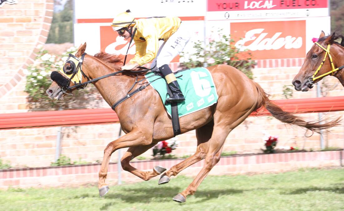 IN FORM: Kinjina brought up her third win, second for the year, in Walcha on Friday. Photo: Bradley Photographers. 