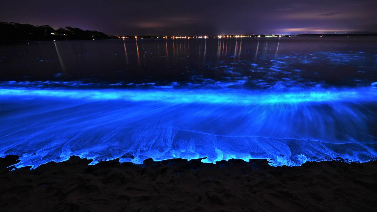 BEAUTIFUL: The bioluminescence is back in Jervis Bay putting on an incredible show, thrilling local residents. This were taken at Barfluer Beach. Photo: Dannie and Matt Connolly Photography