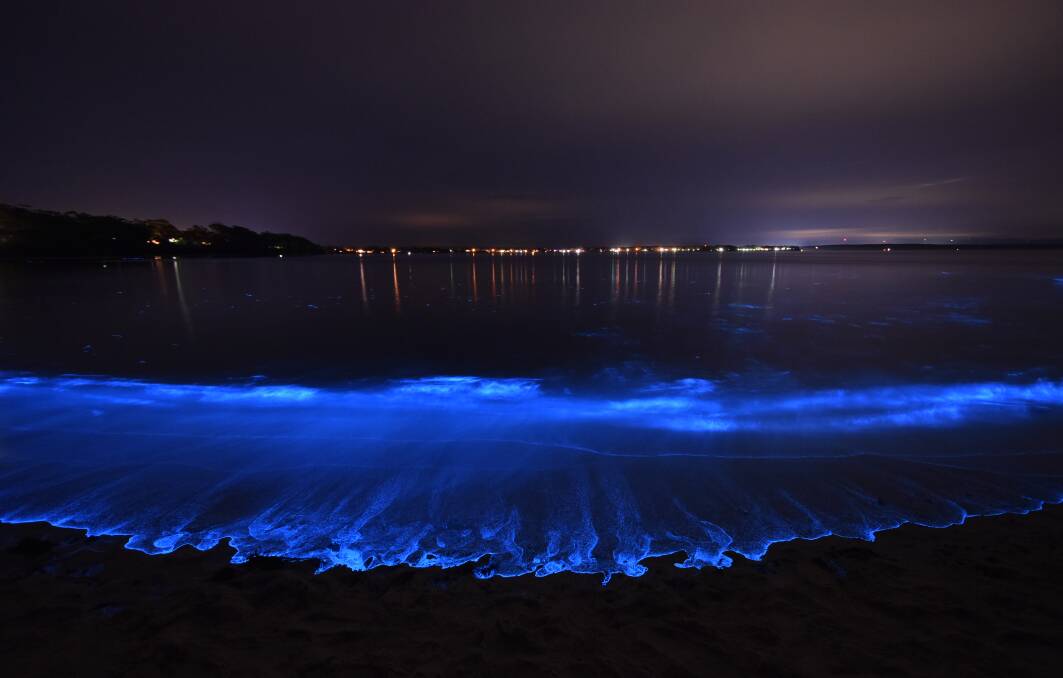 INCREDIBLE: The bioluminescence is back in Jervis Bay putting on an incredible show, thrilling local residents. Barfluer Beach captured by Dannie and Matt Connolly Photography is featured.
