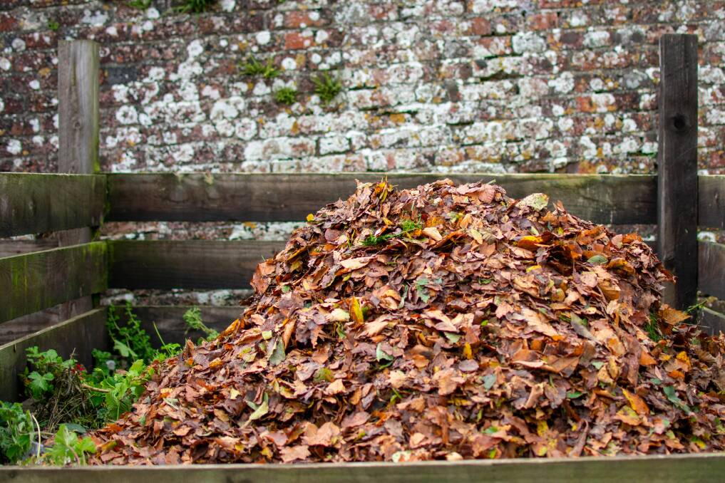 COLLECTION: Leaves from deciduous trees also make good mulch
