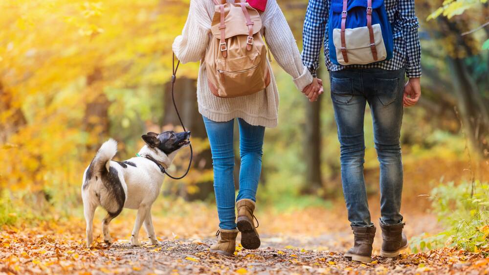 TIME TO BREATHE: David Robinson has been spending time outside simply enjoying the wonderful weather and colours of Autumn. Picture: SHUTTERSTOCK. 