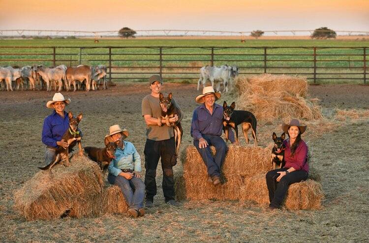 Mustering up a fan base: The cast (and dogs) of Australia's much loved documentary mini-series Muster Dogs. Picture: Ambience Entertainment