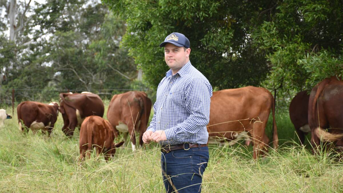 Worimi farmer Josh Gilbert on his family's cattle farm near Nabiac in the Hunter Region of NSW. Picture: Tom Melville