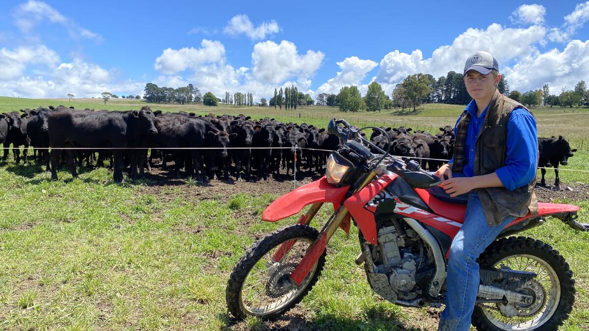 Wylie Wright on the family farm at Wongwibinda near Ebor with the Ebor Beef Group to host a forum about a carbon-neutral future in farming this month. 