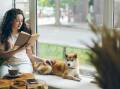 Dog and cat cafes are on the rise as pet ownership becomes prohibitively expensive. 