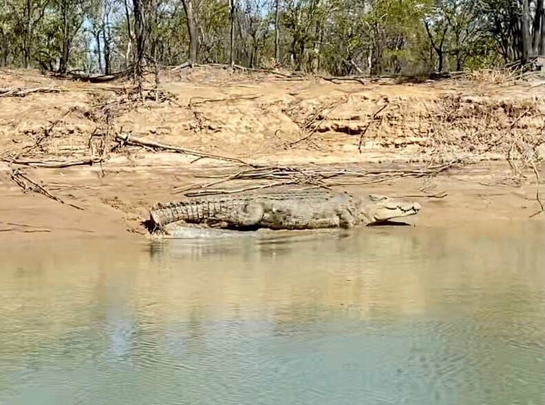 It wasn't just police patrolling the riverbank at Burketown. Photo: QPS