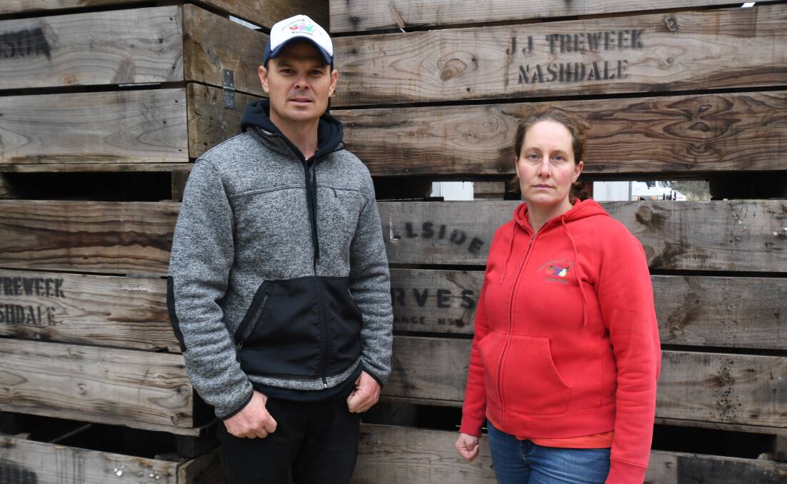 WORRIED: Erica and Paul Eccleston of Thornbrook Orchard were annoyed to hear about a proposed law change that would limit the number of people allowed to 'pick your own'. Photo: CARLA FREEDMAN. 