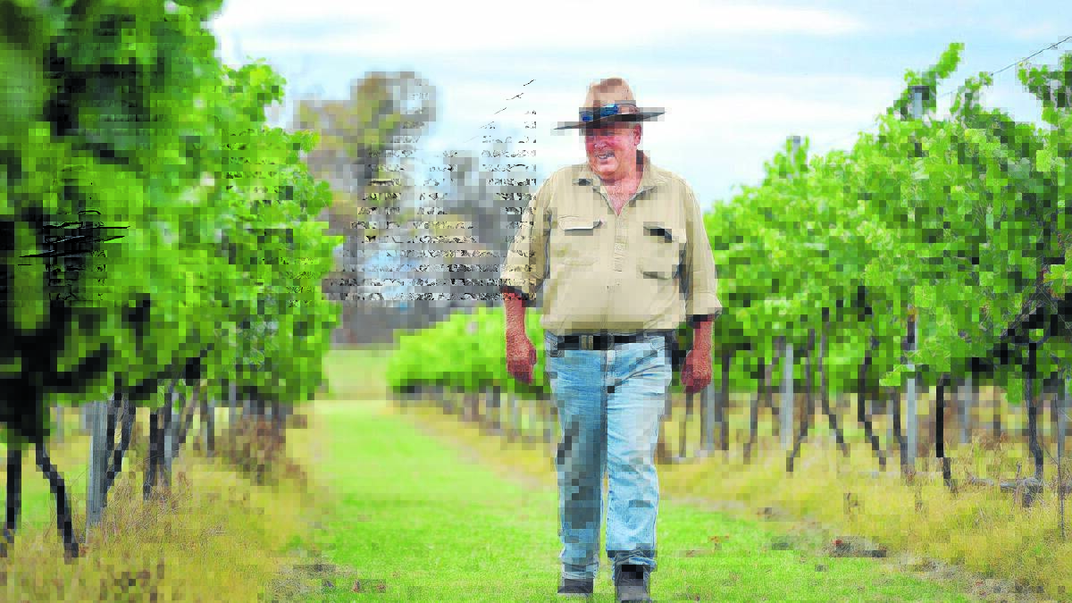 Many worries: Whyworry vineyard owner Daryl Carter in happier times. He spend much of last year defending his region from bushfire while running a winery. Picture: Barry Smith. 