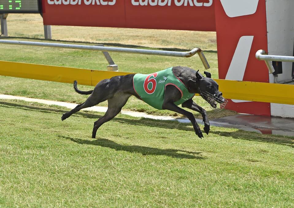 Ritza Debra takes out the Muswellbrook Cup. Picture supplied