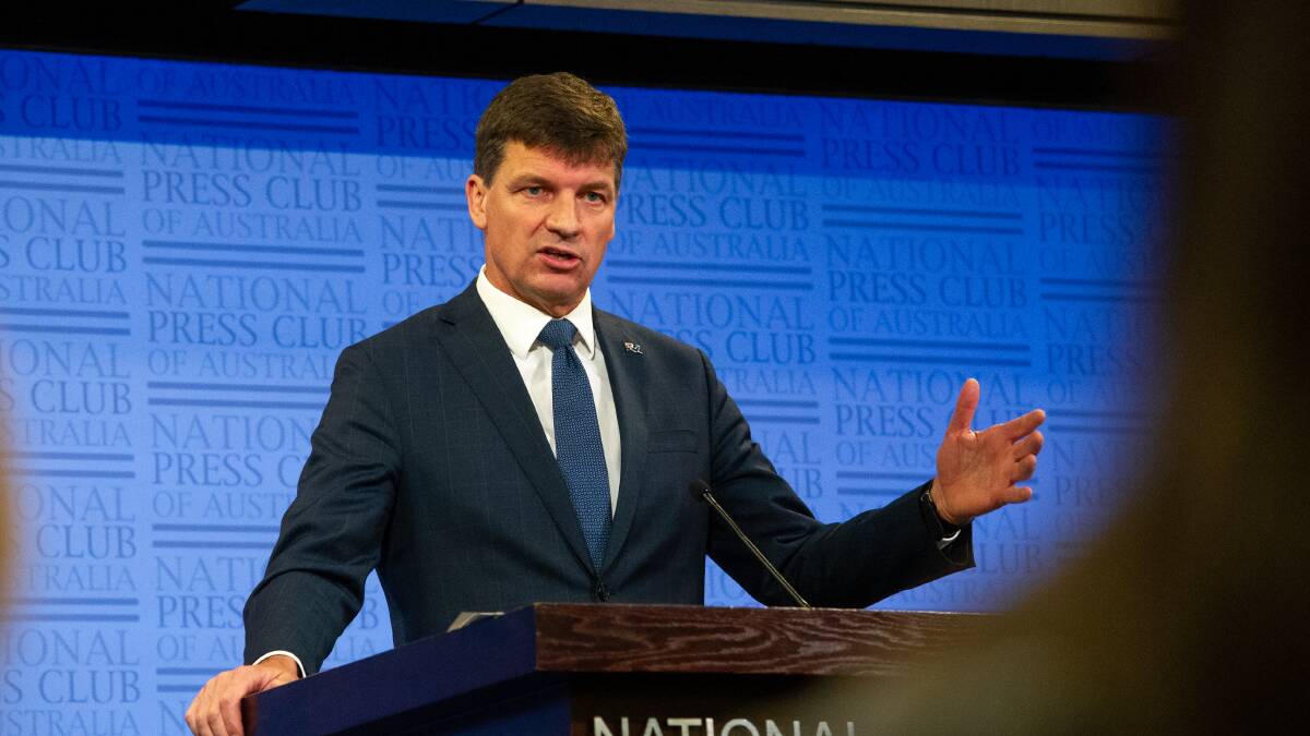 Minister for Energy and Emissions Reduction, Angus Taylor. Picture: Elesa Kurtz 