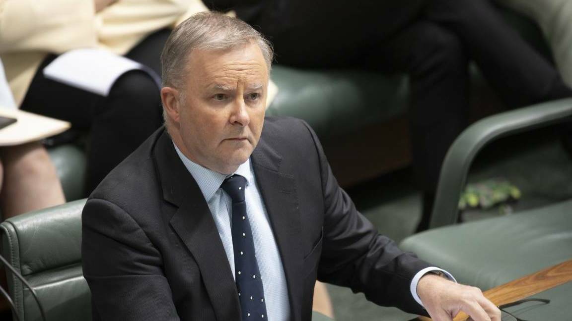 Labor Leader Anthony Albanese. Picture: Sitthixay Ditthavong