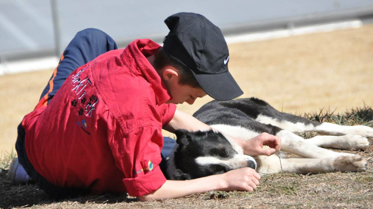 LEADERSHIP: BackTrack boys and girls train dogs as part of the program.