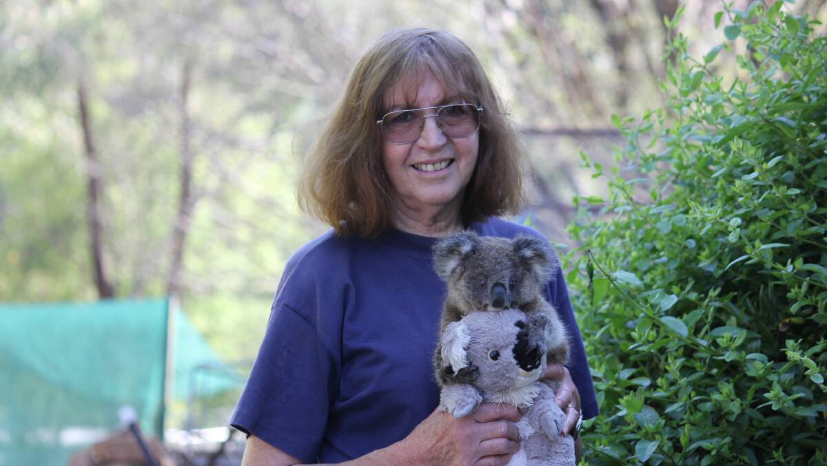 KOALITY TIME: Uralla WIRES coordinator Denise Friedman with rescue koala Mary, named after UNE's Mary White college where she was found. 