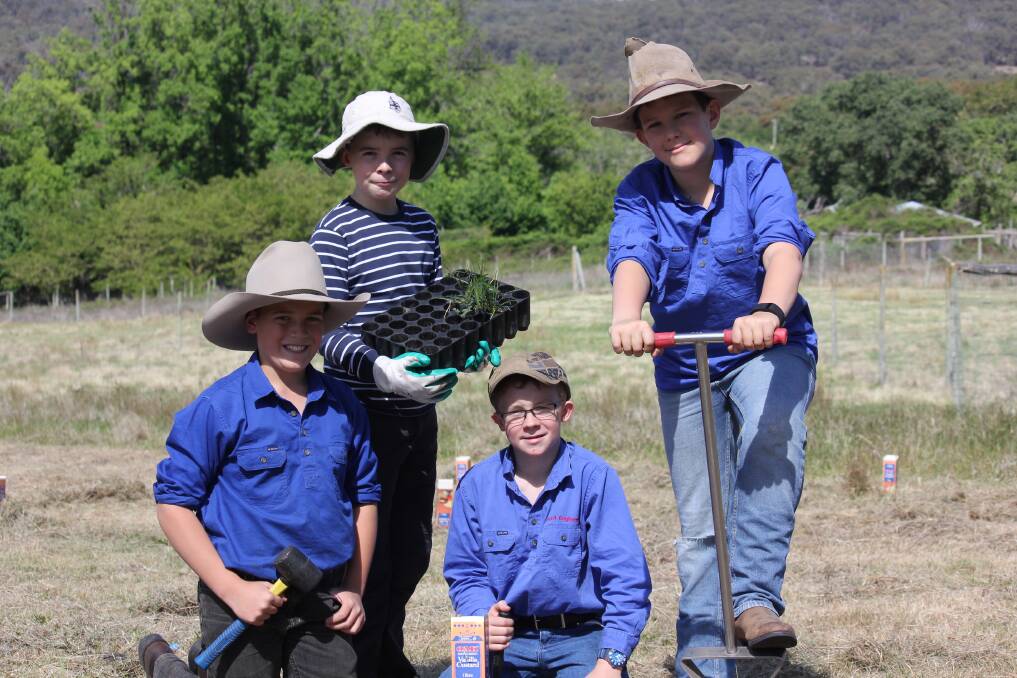TREE PLANTING: The Armidale School Year 5 students Blair Eichorn, William Gilpin, Abbott White and Henry Kirtin planted trees at the base of Mount Duval.
