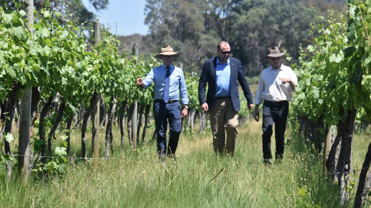 State Government announce $2 million wine marketing campaign at Topper’s Mountain