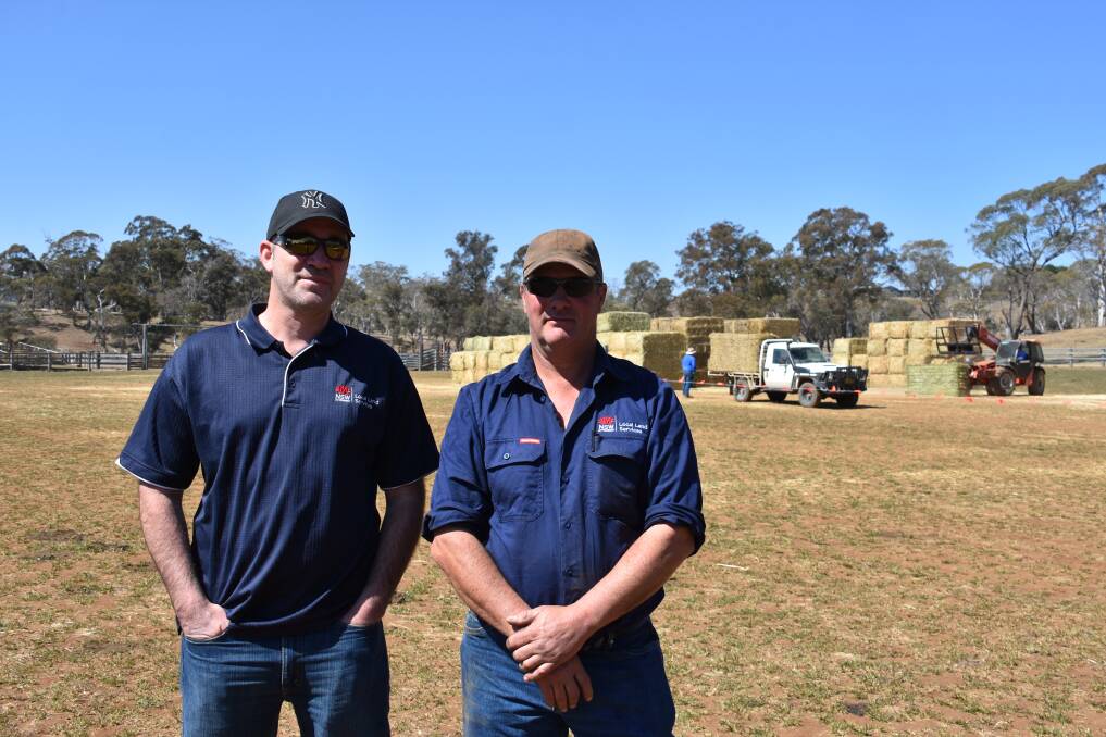 FARM AID: Lestyn Taylor and Glen White NSW Local Land Services. Pictures: Jan Karp.