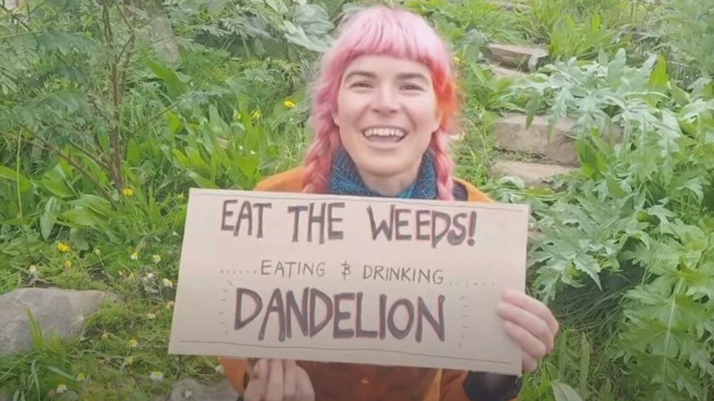 Dandelions may have more nutrients than many of traditional vegies.