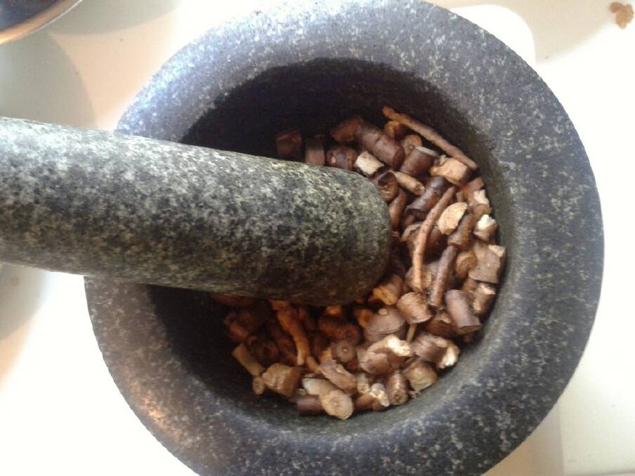 Grinding roasted dandelion root into a powder to make dandelion coffee. Picture: Hannah Moloney