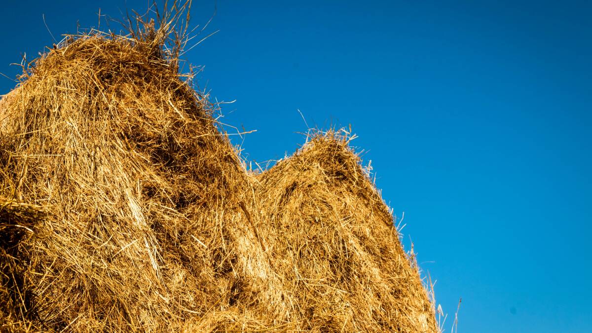 Council to donate hay to flood affected regions