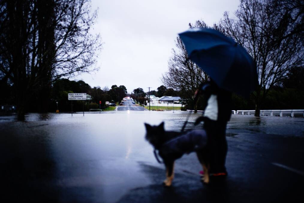 The Express' Matthew Bedford captured these terrific photos of flood waters around Armidale. Click here to see the full gallery.