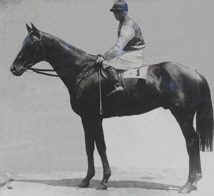 Poitrel (pictured) carried 10 stone to the finishing post to win the 1920 Cup and its quite a story how two brothers won Australia's greatest race.