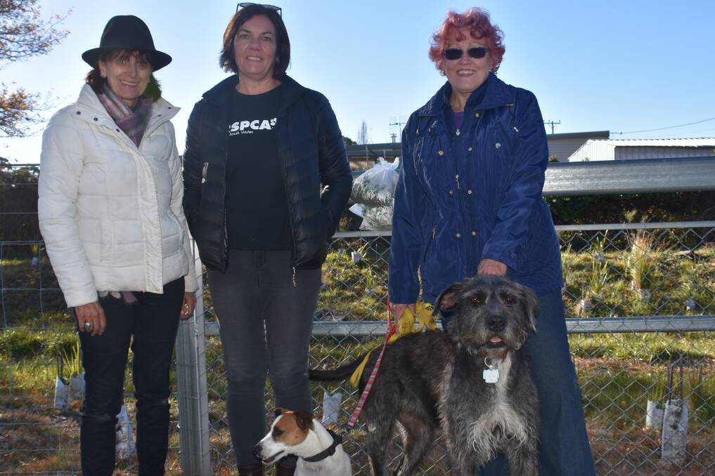 RSPCA MEMBERS: Brigitte Burridge, Christine Caskie, and Melody Van Nistelrooy, with rescue dogs Cooper and Emma. Photo: Nicholas Fuller