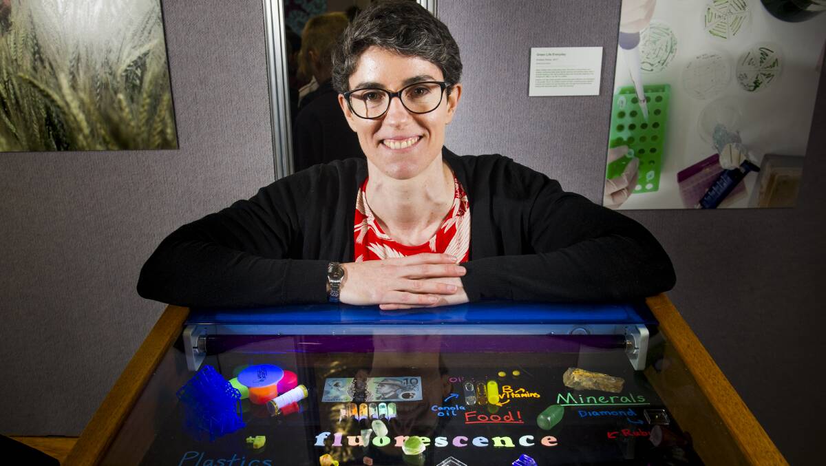 SCIENTIST: 2018 ACT Scientist of the Year, Dr Rose Ahlefeldt. Photo: Elesa Kurtz