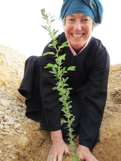 Professor Cowie planting a tree in a national park in Saudi Arabia, in her role on the Science Policy Interface of the UN Convention to Combat Desertification.