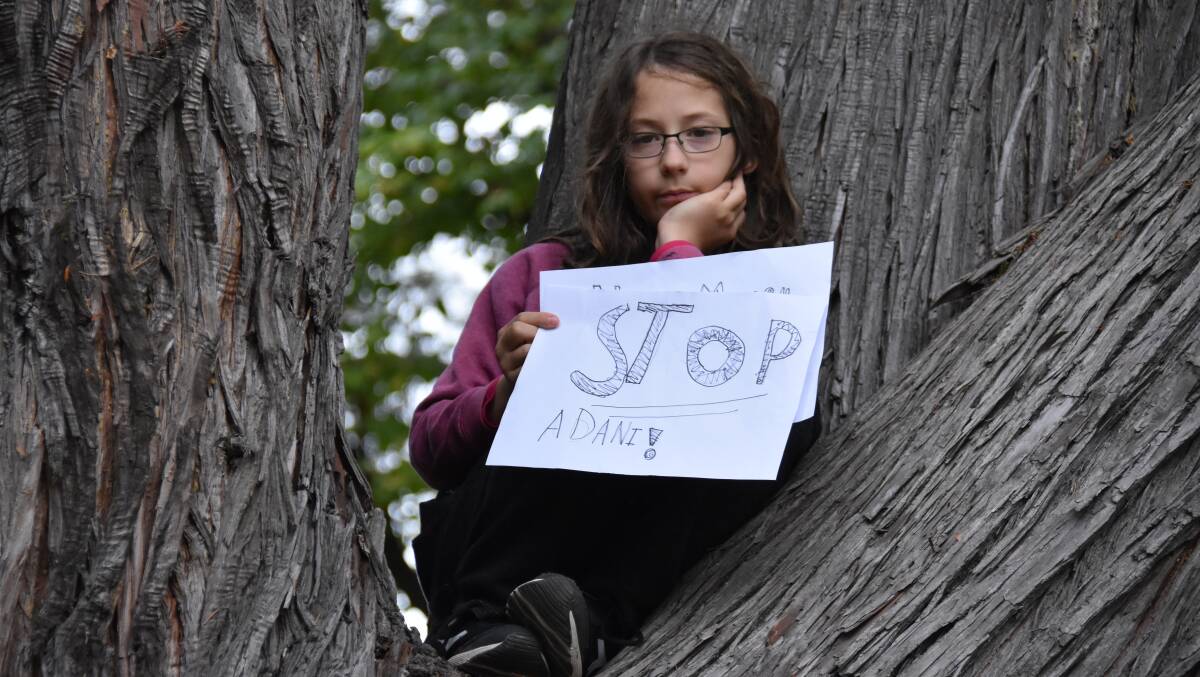 Protester in a tree. Photo - Nicholas Fuller
